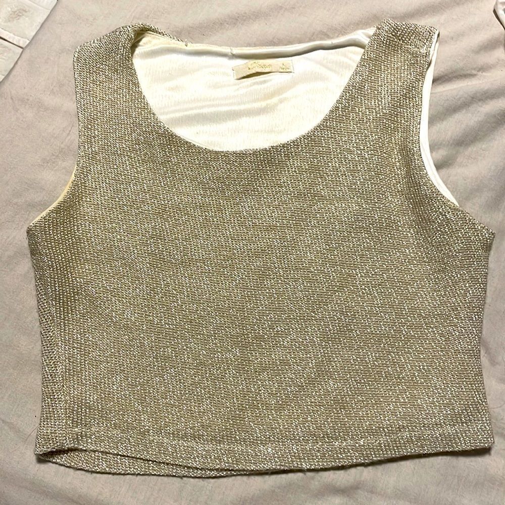 Mesh crop top gold tone